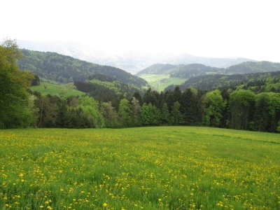 Panoramawanderung zum Kandelblick