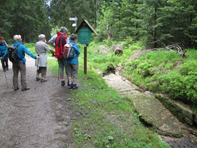 Rund um den Kniebiser Heimatpfad