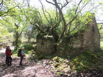 Wandern auf dem Kerry Way