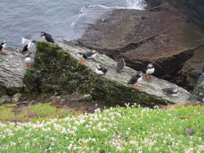 Wandern auf dem Kerry Way