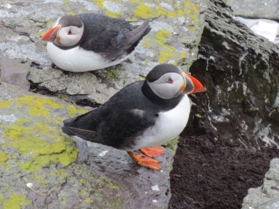 Wandern auf dem Kerry Way