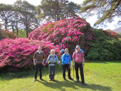 Wandern auf dem Kerry Way