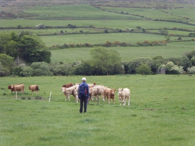 Wandern auf dem Kerry Way