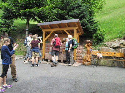 2014 Schwarzwaldsteig Bad Peterstal