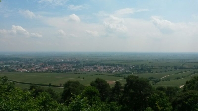 Alla hopp, Wanderfahrt in die Pfalz