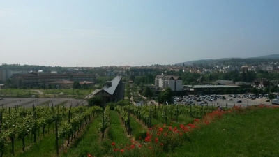 Alla hopp, Wanderfahrt in die Pfalz