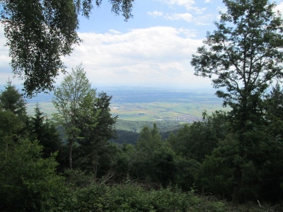 Die Felsenlandschaft in Thannkirch  Elsass