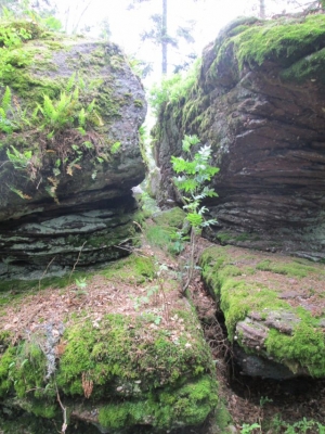 Die Felsenlandschaft in Thannkirch  Elsass