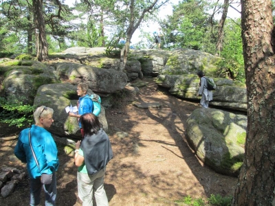 Die Felsenlandschaft in Thannkirch  Elsass