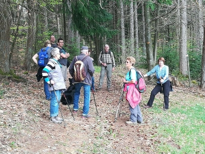 Kreuzeckle-Tour Biederbach